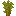 Arboscello di acacia
