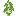 Arboscello di betulla