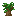 Arboscello di quercia scura