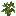 Arboscello di quercia